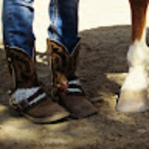 Meet your Posher, Britt